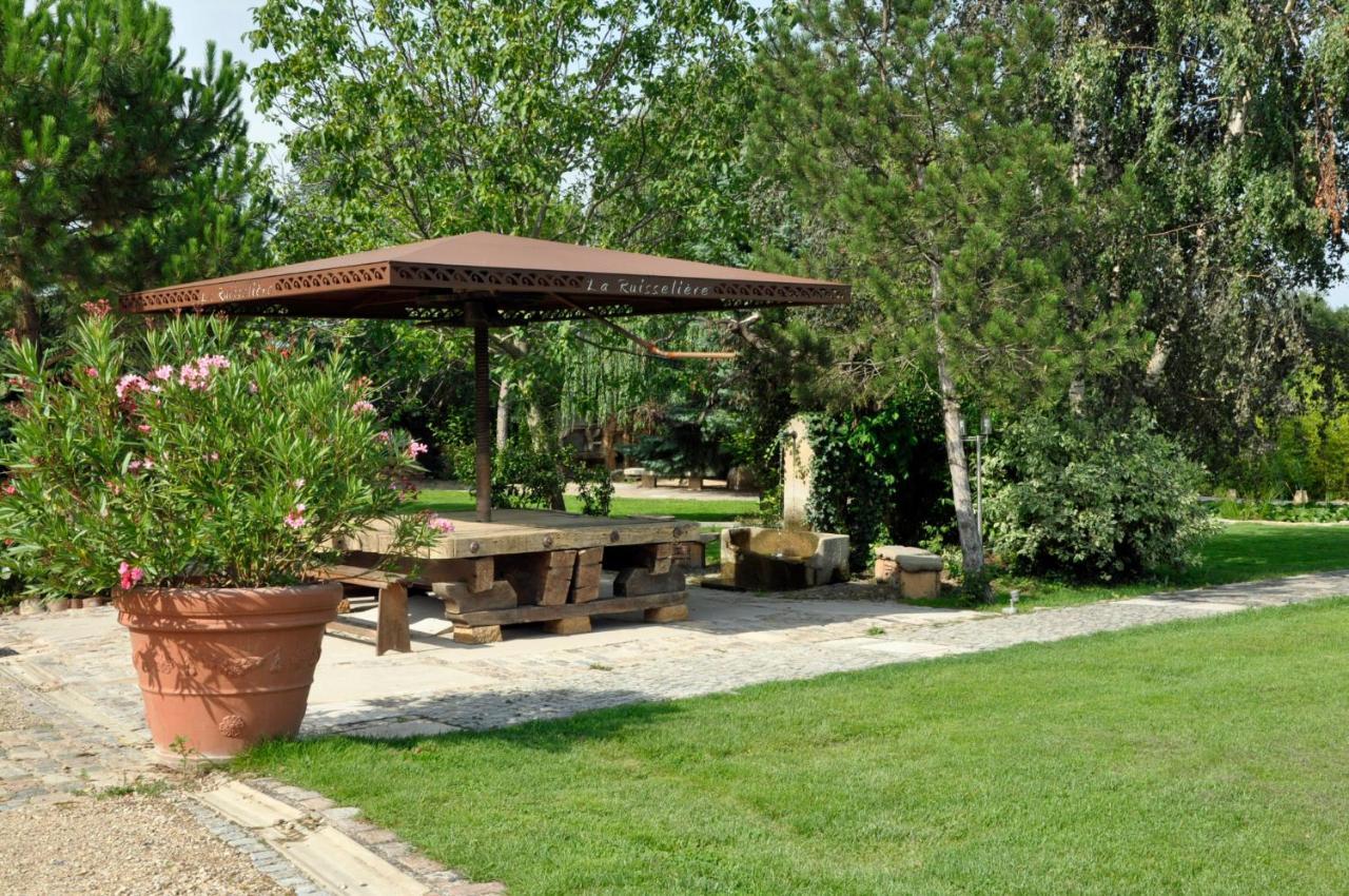 Domaine De La Ruisseliere Hotel Lacenas Buitenkant foto